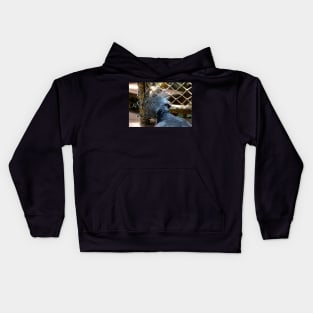 Victoria Crowned Pigeon Kids Hoodie